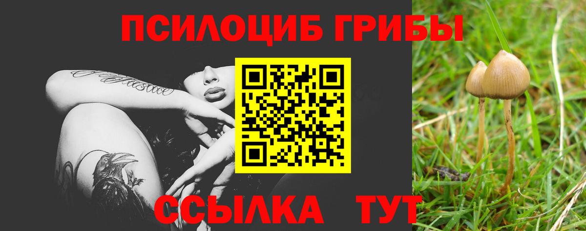 Кашира  Псилоцибиновые грибы ЛСД  Галлюциногенные грибы Psilocybe  Вход с VPN 