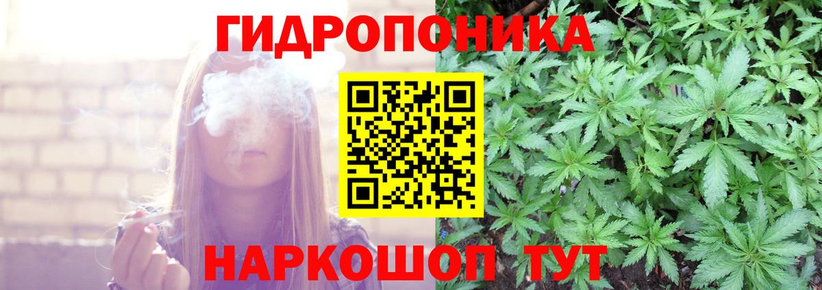 Бошки Шишки Amnesia Кашира